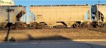 RGCX 341422